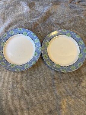 Pfaltzgraff Blue Isle salad Plates - Set of 2